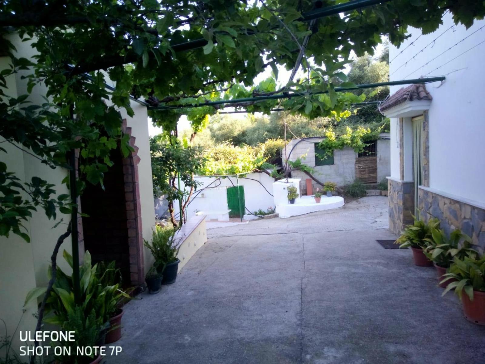 Casa El Pino Country house