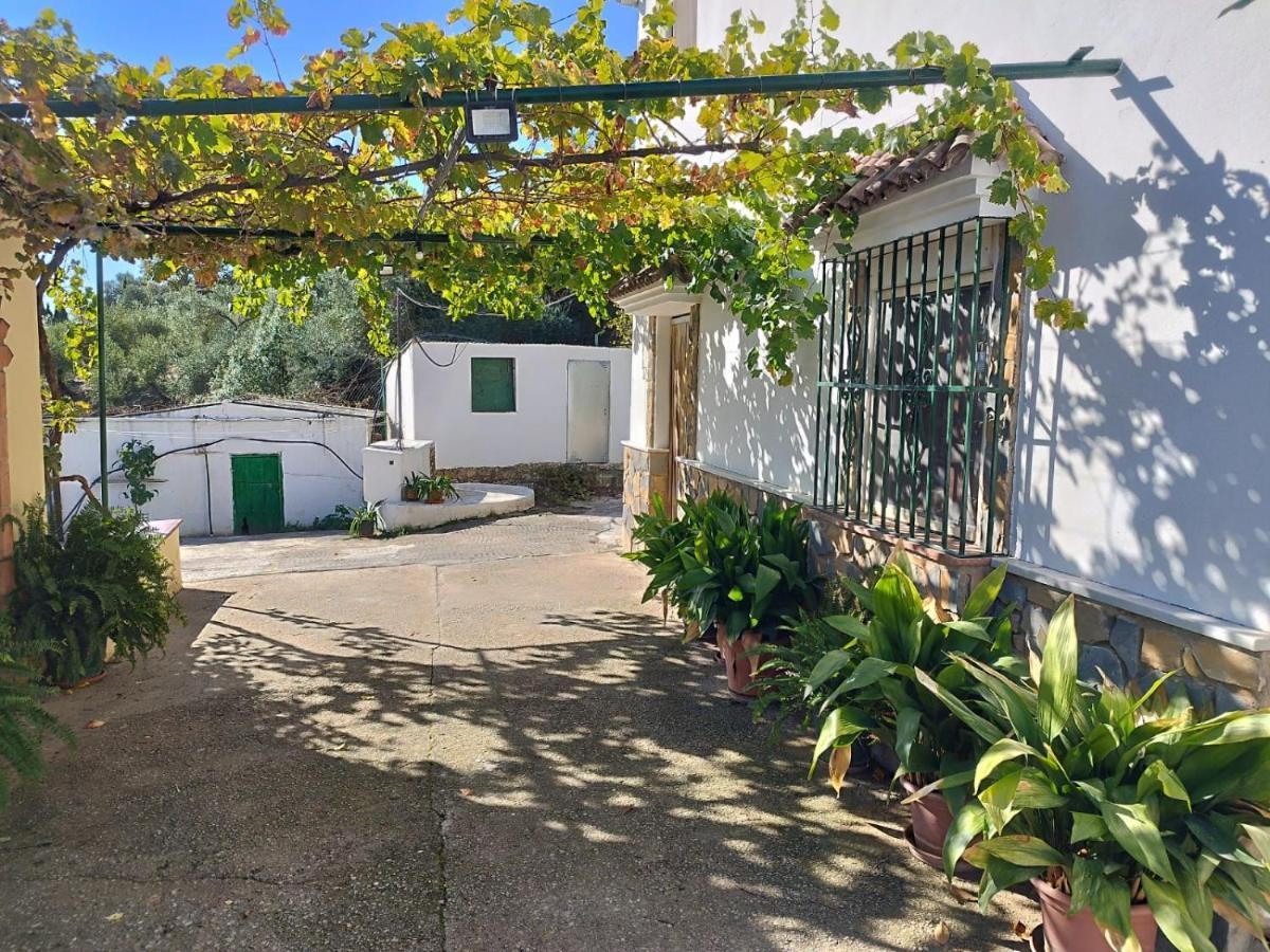Casa El Pino * Cortes de la Frontera