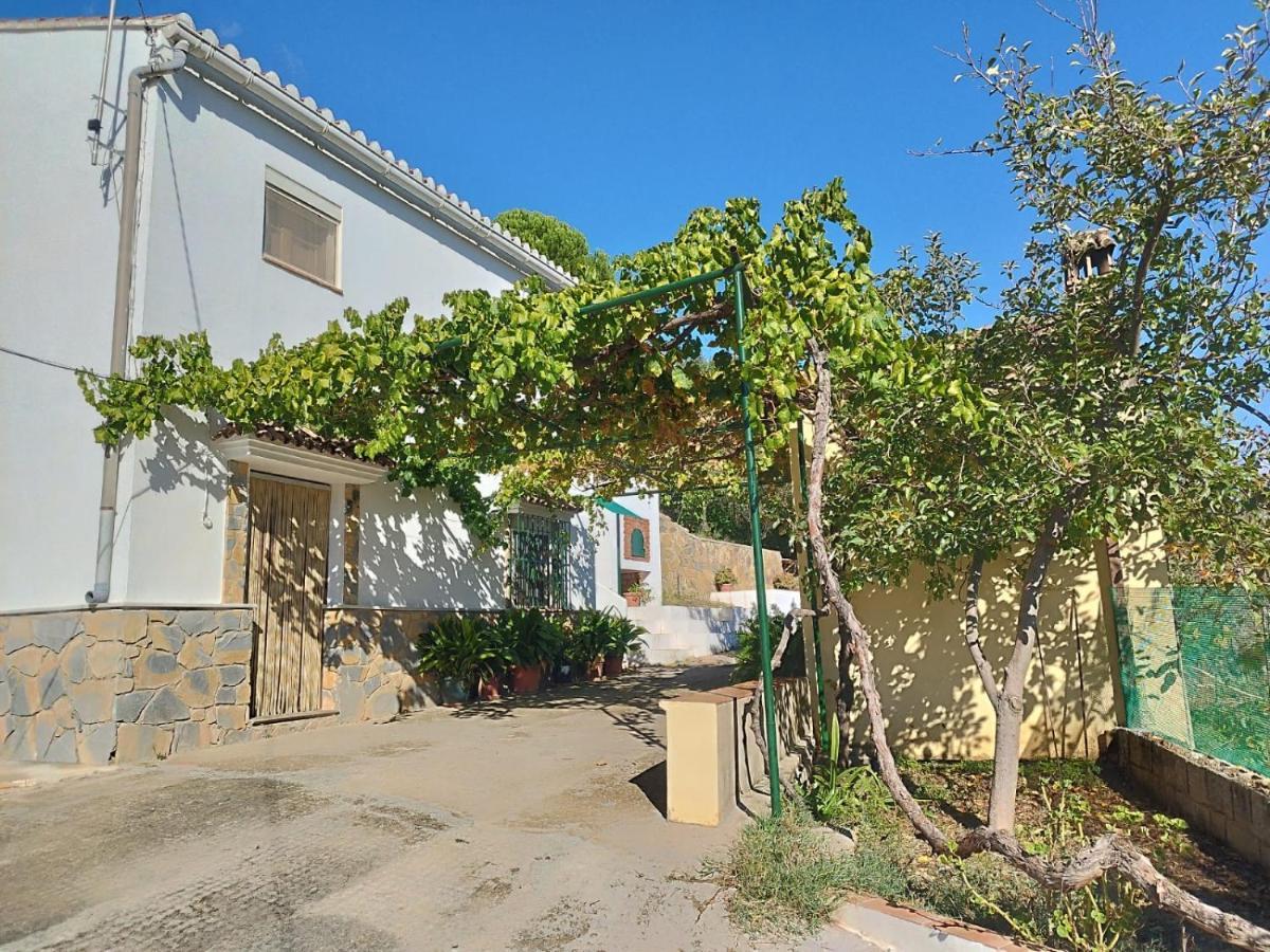 Casa El Pino * Cortes de la Frontera