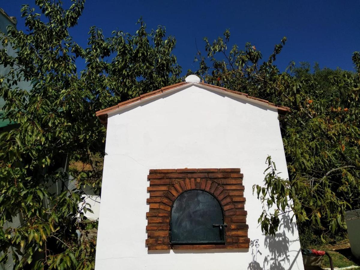 Casa El Pino